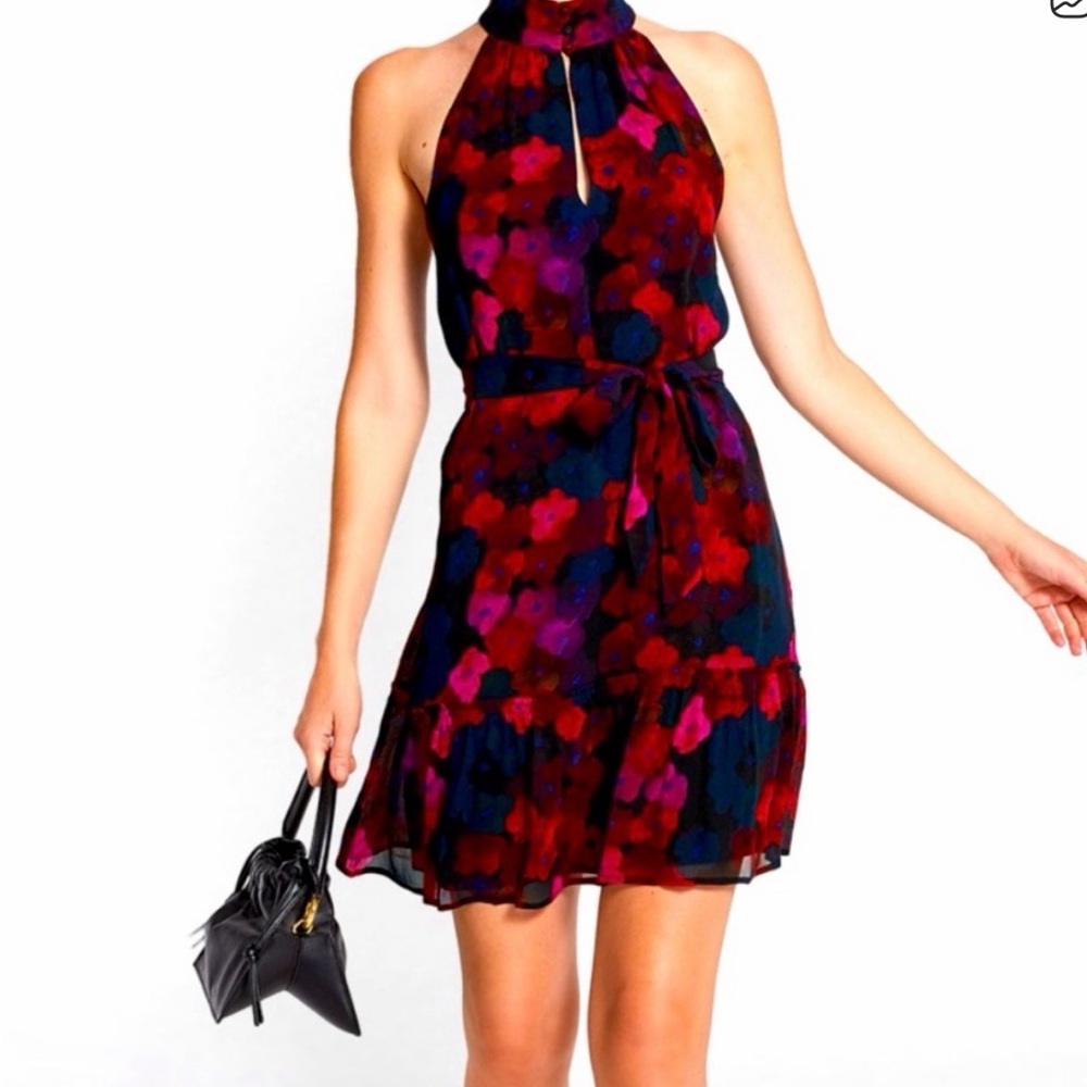 PAIGE Floral Halter Mini Dress - Red and Blue